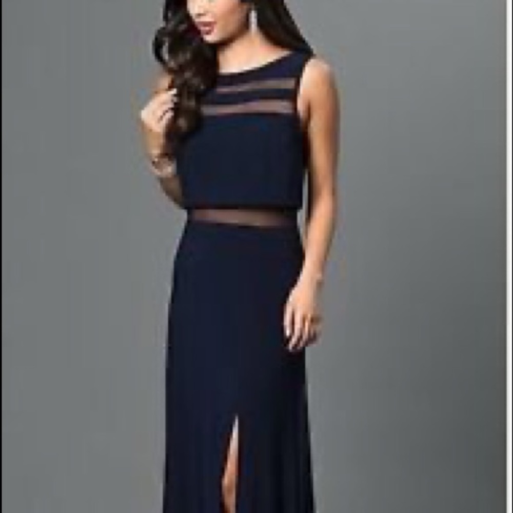 PLUM Floor Length Mesh Dress